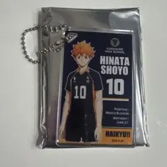 ハイキュー‼︎ ハイキュープラザ トレーディングアクリルキーホルダー共闘 日向翔陽