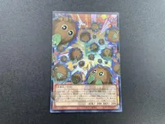 遊戯王 増殖するクリボー！ 3枚 LOCH シークレット アジア - メルカリ
