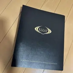 Item thumbnail for item 7ece7f23-2639-43d8-9260-38b1150de62d