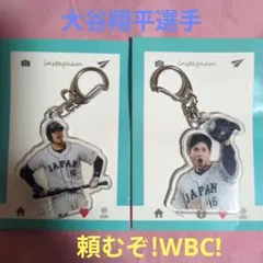 Item thumbnail for item 2e89ba83-2c83-4281-bc69-c4ee66f82288