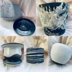 最終値下げ　鉢5個セット 植木鉢 陶器鉢 TOKY