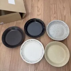【新品未使用品】器　陶器プレート、カレー皿、5枚セット