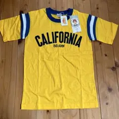 【新品1点もの】BIG JOHN カリフォルニア Tシャツ 12号のサムネイル