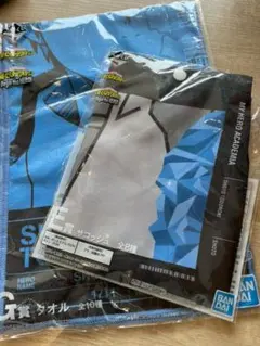 【轟焦凍】一番くじヒロアカG賞 タオル E賞 サコッシュ2点セット