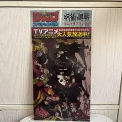 呪術廻戦　クリアファイル　少年ジャンプ付録のサムネイル