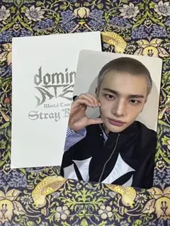 Stray Kids スキズ　ヒョンジン　トレカ