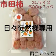 日々徒然様専用　市田柿　2Lサイズ500gパック