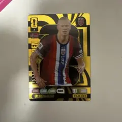 パニーニワールドカップ ハーランド Golden Baller XLアドレナリン