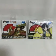 ポケモン ピンバッジ 2個セット　ボルトバッジ　クエイクバッジ