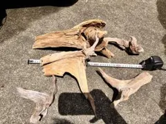 天然流木 レイアウト用品 自然な形状 5点セット 爬虫類レイアウトのサムネイル