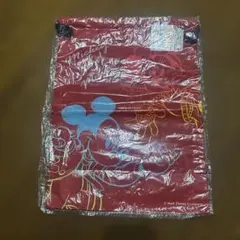 Disney ミッキー＆ミニー 巾着袋 アートウエルド 新品