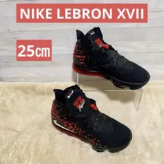 Item thumbnail for item ab4d35d1-8ebd-4155-b18d-942560110d73