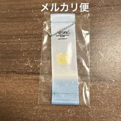 SEVENTEEN NEW_ カプセルトイ フラッグキーホルダー ボンボンイ