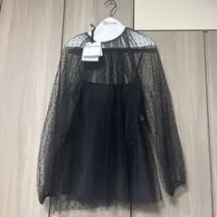 Item thumbnail for item ed424e1c-02ba-4ef1-822f-b1d41e188d48