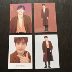 SEVENTEEN 2020 WINTER ＜TO CARAT＞ ウォヌ トレカ