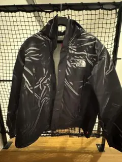 THE NORTH FACE supremeマウンテンパーカー　L