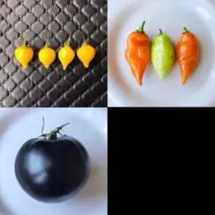 くるてく様 リクエスト 3点 まとめ商品