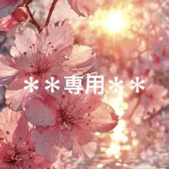 mi様 リクエスト 2点 まとめ商品