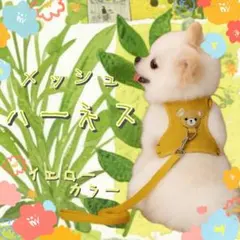 メッシュハーネス 黄色　リード付き 小型犬 猫 小動物 S かわいい