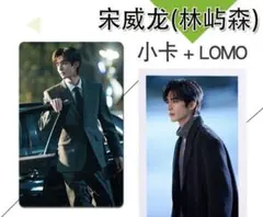 宋威龍 ソン・ウェイロン 骄阳似我 林屿森トレカ100枚セット　確認用1