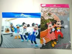 【レア】東京ディズニーリゾート クリアファイル 2枚セット 実写 旧フェイス
