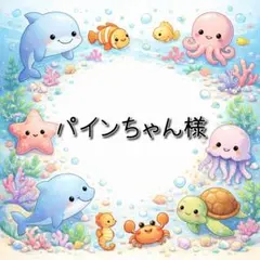 パインちゃん様 リクエスト 3点 まとめ商品