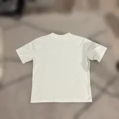 threedots スリードッツ 半袖Tシャツ モックネック 白 Lサイズのサムネイル