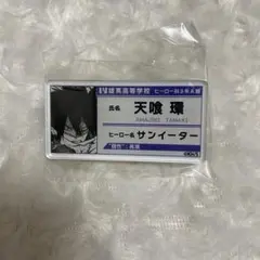 僕のヒーローアカデミア ヒロアカ 名札バッジコレクション 天喰環