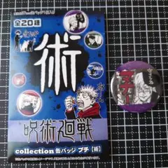 呪術廻戦 collection 缶バッジ プチ 【術】