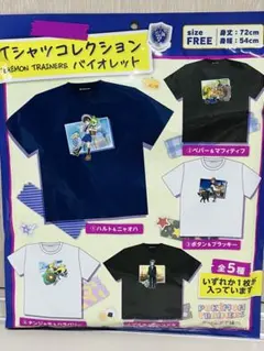 TシャツPokemon Trainers バイオレット ピカピカボックス2026