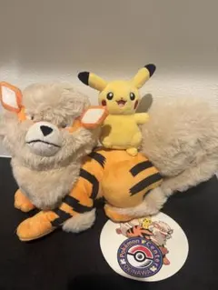 新品タグ付】ポケセン沖縄限定 ウインディピカチュウ ぬいぐるみ 1周年