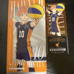 ハイキュー 日向翔陽 チケットケース&クリアカードセット