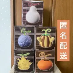 ☆バラ売り可能☆ ワンピース　悪魔の実 ルームライト　5種セット