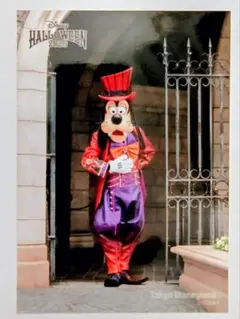ディズニー ハロウィン 写真セット バラ グーフィー （フレンジー）スペフォ