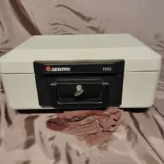 SENTRY 1100 耐火キャッシュボックス