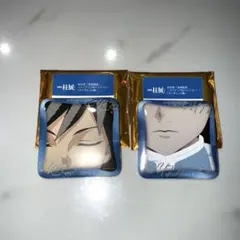 鬼滅の刃 柱展 柱百景 マニアック缶バッジ 冨岡義勇