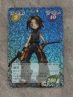 2025年最新】シャーマンキング カード まとめの人気アイテム - メルカリ