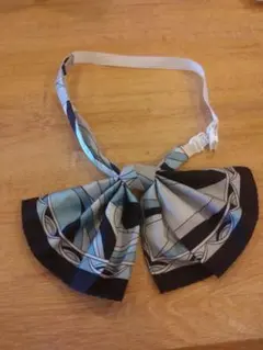 Item thumbnail for item 64ecdfb0-a130-41cd-a31f-f6ced711bc1c