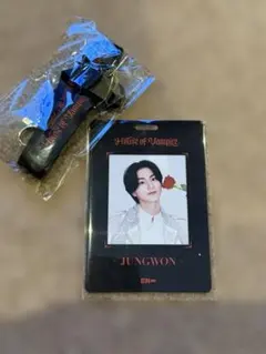 ENHYPEN JUNGWON Vampire アドミッションパス