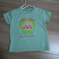 SUMOMONOUCHI 　100　　こびと図鑑