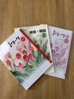 iワーク 中1国語 解答解説付きセットのサムネイル