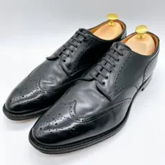 【極美品】REGAL リーガル 25 ウィングチップ 内羽根 レザー 601R