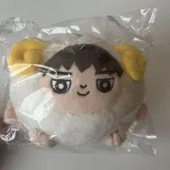 2025年最新】宮世琉弥 ぬいぐるみの人気アイテム - メルカリ