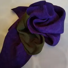 Item thumbnail for item 2c8f7a5a-f252-4562-8ddb-401f76000781