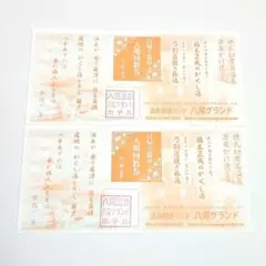 八尾グランドホテル 八尾天然温泉 回数券2枚★利用時間:午前10時～翌午前8時のサムネイル
