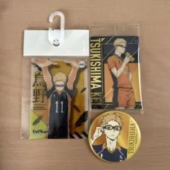 【ハイキュー】まとめ売り(バラ売り可)月島蛍 カード 缶バッジ