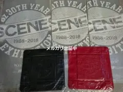 Item thumbnail for item 5731fafa-345a-4bb7-a510-b7d2d5f2639a