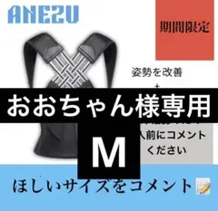 アネズ　ANEZU 2026 姿勢デバイス　猫背矯正ベルト