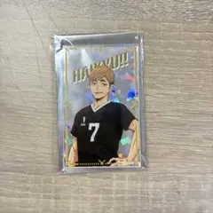 ナンジャタウン　ハイキュー　宮侑