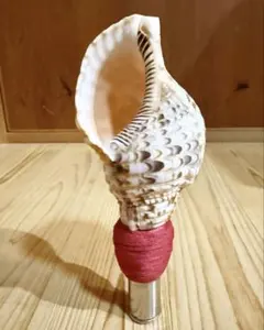 Item thumbnail for item 6a34c2f3-b1de-41c5-82ae-bcf8fbf2b054